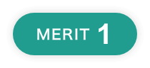 MERIT 1
