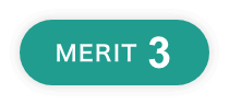 MERIT 3